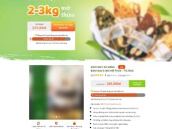 Theme WordPress Landing page bánh giảm cân