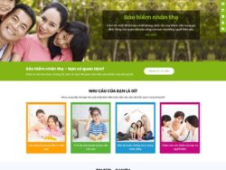 Theme wordpress giới thiệu dịch vụ bảo hiểm