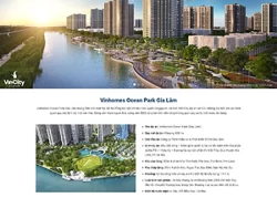 Theme WordPress Bất Động Sản 04