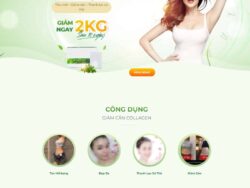 Theme WordPress Landing page bột giảm cân