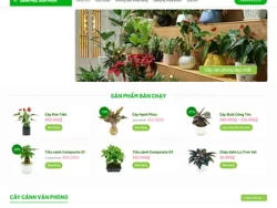 Theme WordPress Cây Xanh 01