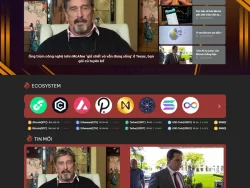 Theme WordPress tin tức bitcoin, crypto