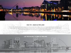 Theme WordPress Công Ty 11