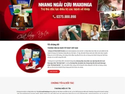 Theme WordPress bán đá muối