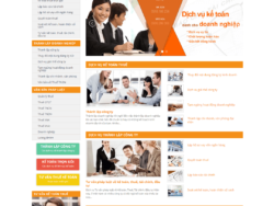 Theme WordPress công ty dịch vụ kế toán 02