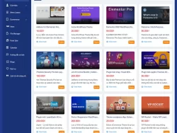 Theme WordPress bán plugin, theme