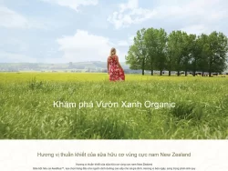 Theme WordPress trang trại bò sữa Organic