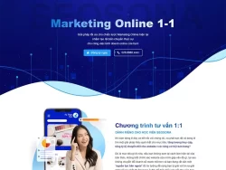 Theme WordPress landing page tư vấn marketing online