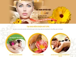 Theme WordPress Spa 02