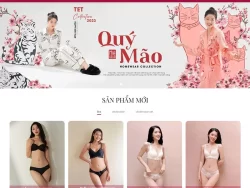 Theme WordPress thời trang nội y 02