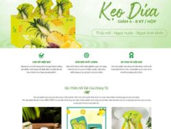 Theme WordPress thực phẩm chức năng 17