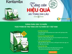 Theme WordPress Thực Phẩm 03