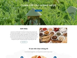 Theme WordPress thực phẩm chức năng 23