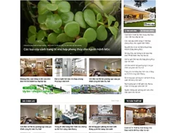 Theme WordPress Tin Tức 06