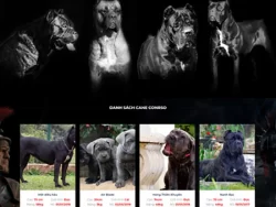 Theme WordPress Trại Chó