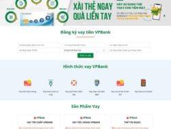 Theme WordPress vay vốn, tài chính 02